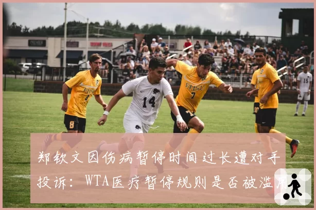 郑钦文因伤病暂停时间过长遭对手投诉:WTA医疗暂停规则是否被滥用?